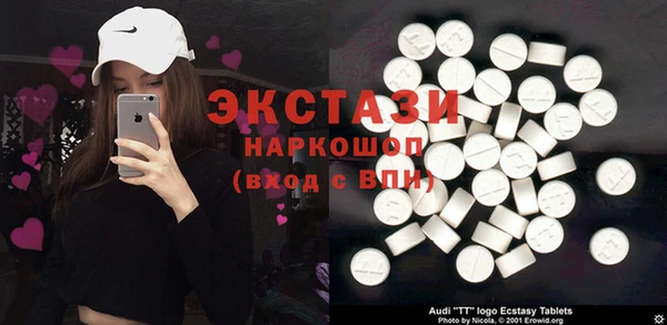 МДПВ Пересвет