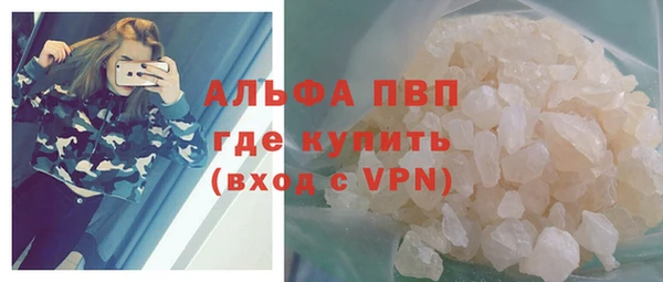 МДПВ Пересвет