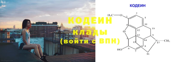 МДПВ Пересвет