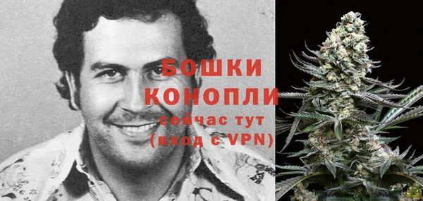 хмурый Покачи