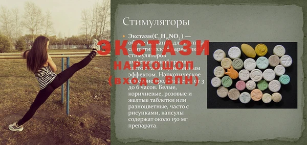 МДПВ Пересвет