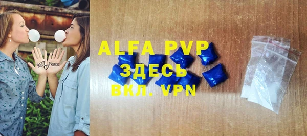 МДПВ Пересвет