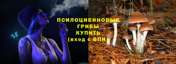 прущая мука Калининец
