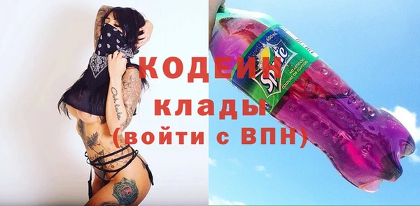 хмурый Покачи