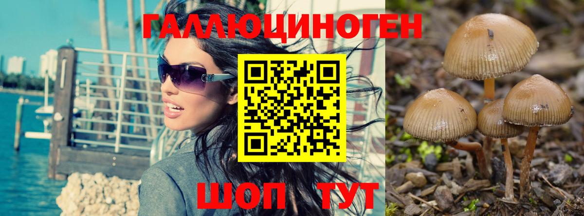 сколько стоит  Галлюциногенные грибы ЛСД  Вход с VPN  Белогорск  Псилоцибиновые грибы мицелий 