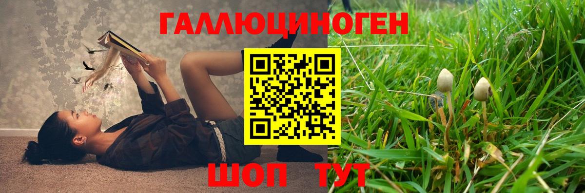 Псилоцибиновые грибы MAGIC MUSHROOMS  Псилоцибиновые грибы ЛСД  Белогорск 