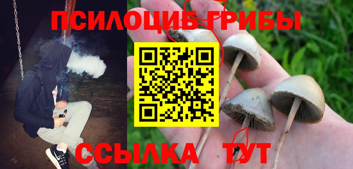 Псилоцибиновые грибы прущие грибы Белогорск